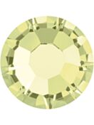 Maxima Rose ss34 Jonquil F