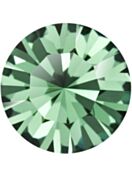 Maxima Chaton pp14 Erinite F