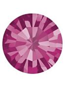 Maxima Chaton pp24 Fuchsia F