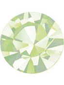 Optima Chaton ss21 Chrysolite F