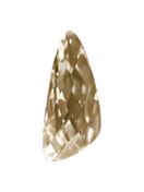 Wing 32x14mm Crystal Golden Shadow