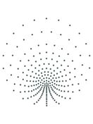 Cartina Strass Termoadesivo "Peacock" ss10 226x228mm Jet HF (AU010)