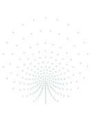 Cartina Strass Termoadesivo "Peacock" ss10 226x228mm Crystal HF (AU011)