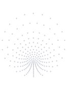 Cartina Strass Termoadesivo "Peacock" ss10 226x228mm Crystal AB HF (AU011AB)