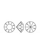 Maxima Chaton pp12 Erinite F