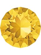 (RESO) Xirius Chaton ss24 Light Topaz F