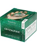 CRYSTAL PIXIE Petite Nail Box Jungle Green (10 Grammi)